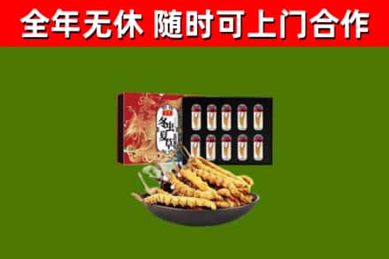 阿合奇回收冬虫夏草价格